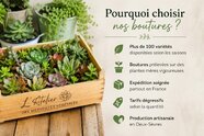 pourquoi choisir nos boutures l atelier des merveilles vegetales